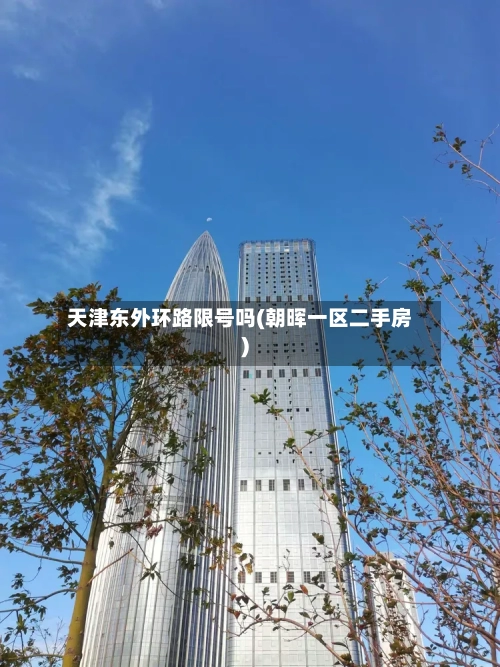 天津东外环路限号吗(朝晖一区二手房)