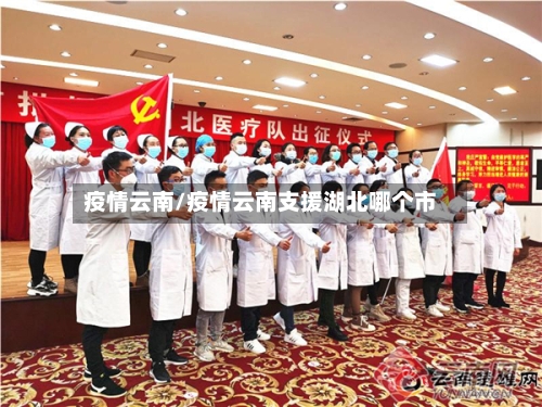 疫情云南/疫情云南支援湖北哪个市