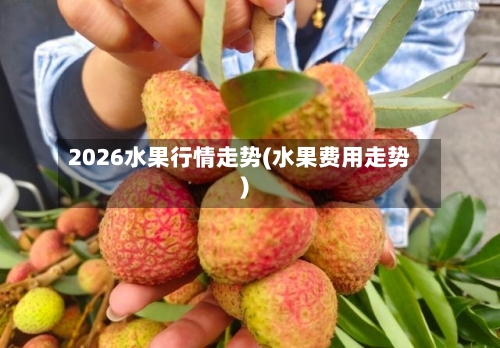 2026水果行情走势(水果费用走势)