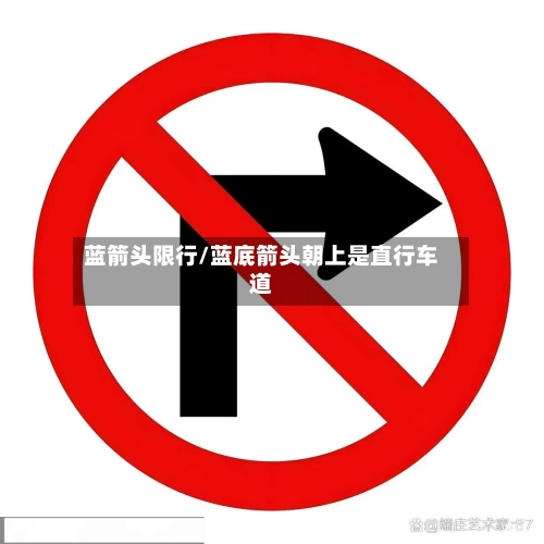 蓝箭头限行/蓝底箭头朝上是直行车道