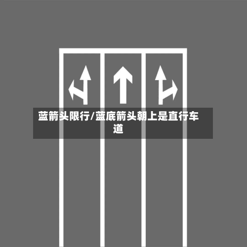蓝箭头限行/蓝底箭头朝上是直行车道