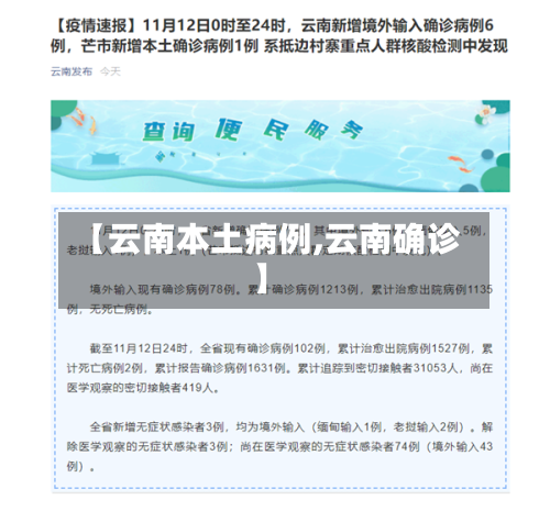 【云南本土病例,云南确诊】