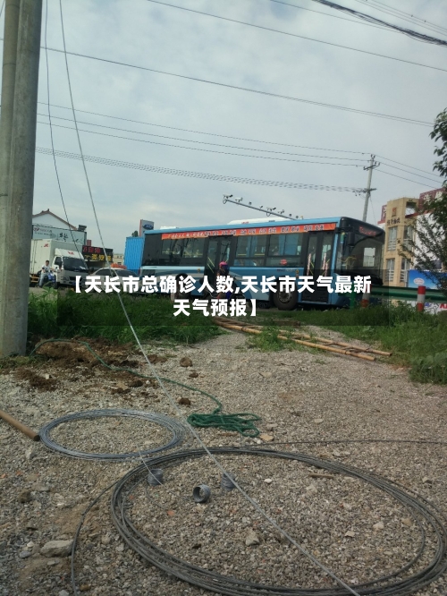 【天长市总确诊人数,天长市天气最新天气预报】