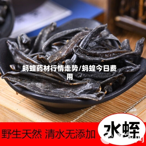 蚂蝗药材行情走势/蚂蝗今日费用