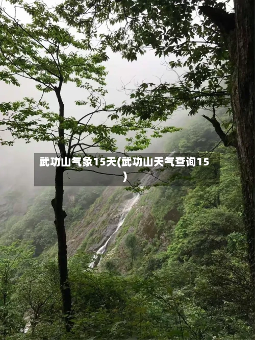 武功山气象15天(武功山天气查询15)