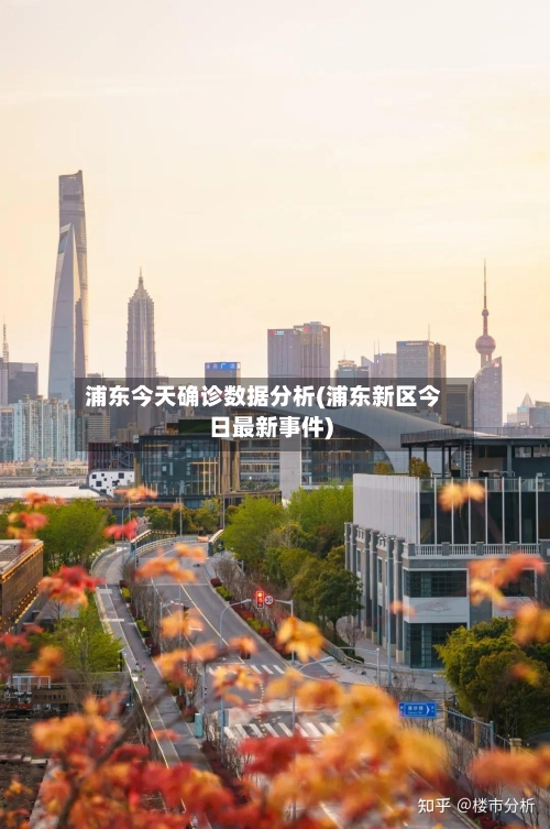 浦东今天确诊数据分析(浦东新区今日最新事件)