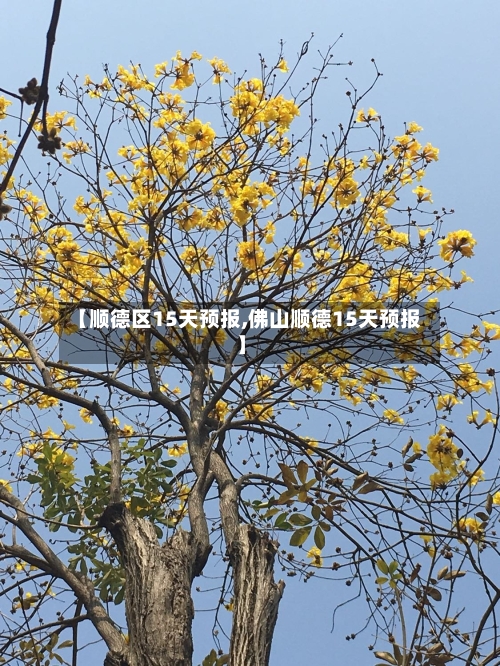 【顺德区15天预报,佛山顺德15天预报】