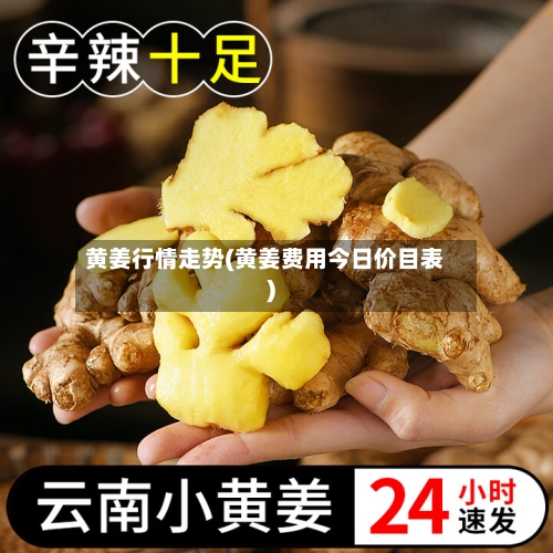黄姜行情走势(黄姜费用今日价目表)