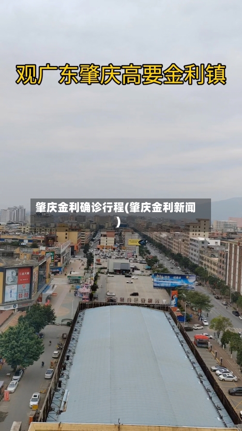 肇庆金利确诊行程(肇庆金利新闻)