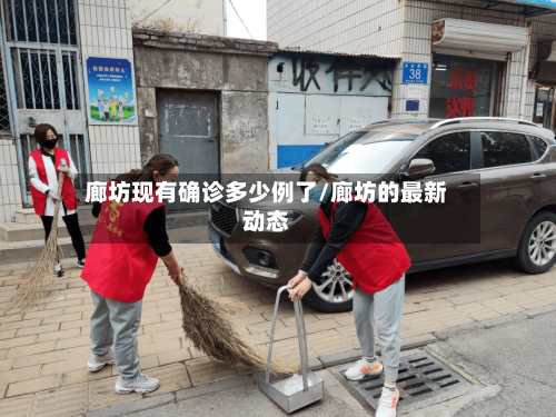 廊坊现有确诊多少例了/廊坊的最新动态