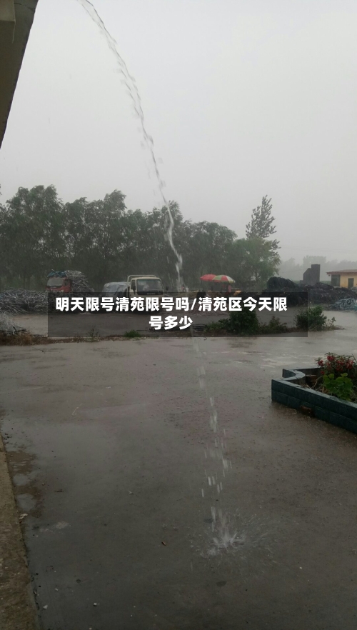 明天限号清苑限号吗/清苑区今天限号多少