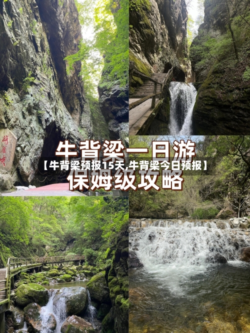 【牛背梁预报15天,牛背梁今日预报】