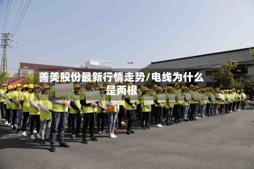 善美股份最新行情走势/电线为什么是两根