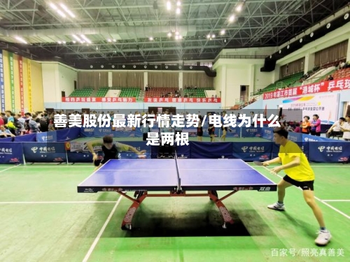 善美股份最新行情走势/电线为什么是两根