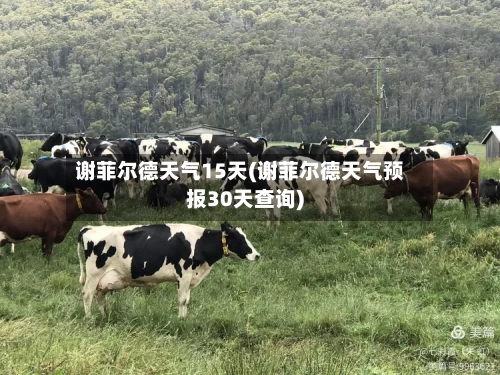谢菲尔德天气15天(谢菲尔德天气预报30天查询)