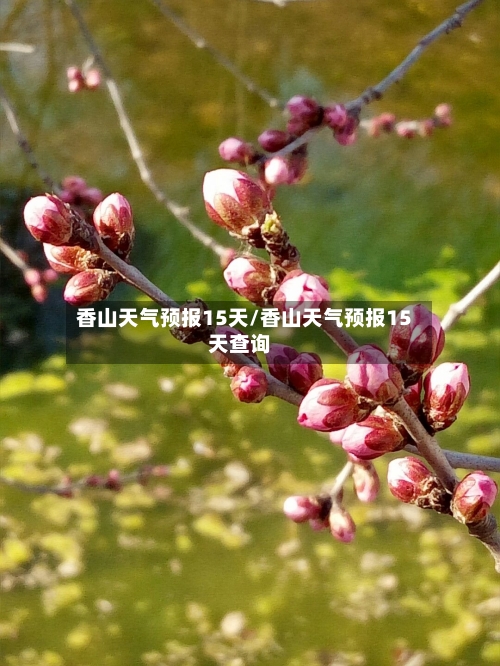香山天气预报15天/香山天气预报15天查询