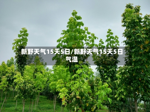 新野天气15天5日/新野天气15天5日气温