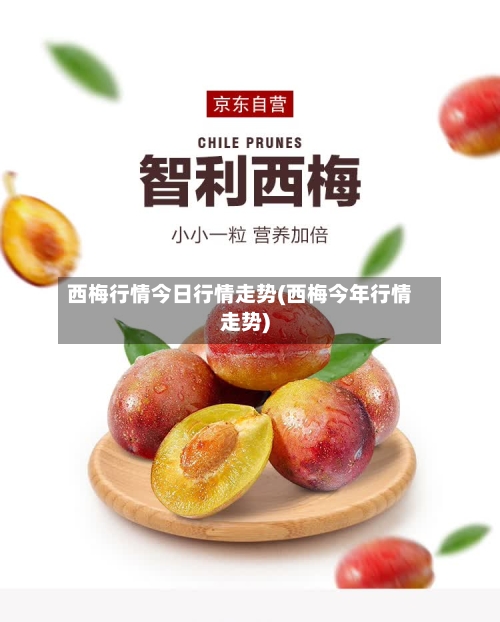 西梅行情今日行情走势(西梅今年行情走势)