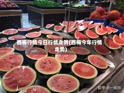 西梅行情今日行情走势(西梅今年行情走势)
