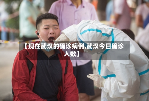 【现在武汉的确诊病例,武汉今日确诊人数】