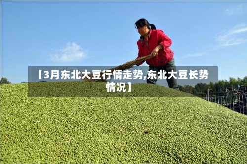 【3月东北大豆行情走势,东北大豆长势情况】