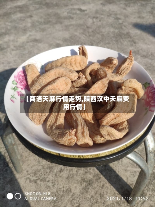 【商洛天麻行情走势,陕西汉中天麻费用行情】