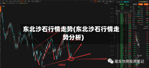 东北沙石行情走势(东北沙石行情走势分析)