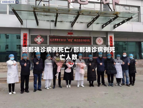 邯郸确诊病例死亡/邯郸确诊病例死亡人数