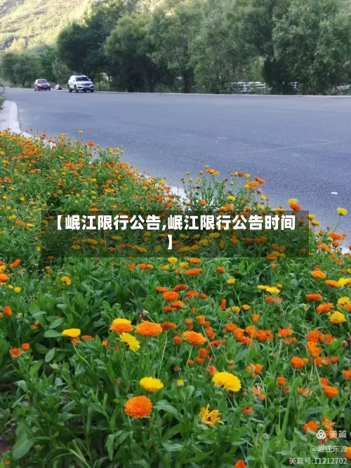 【岷江限行公告,岷江限行公告时间】