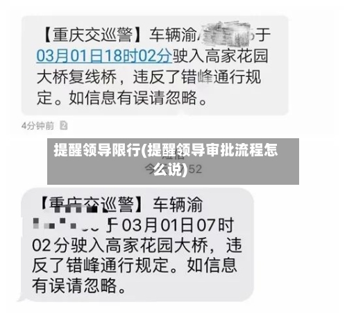 提醒领导限行(提醒领导审批流程怎么说)