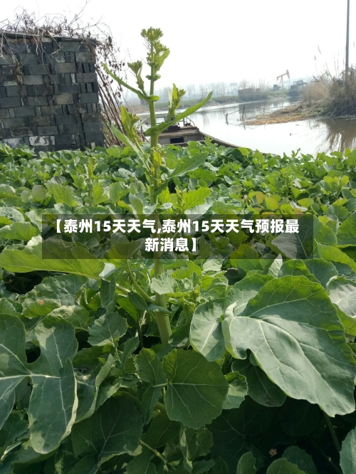 【泰州15天天气,泰州15天天气预报最新消息】