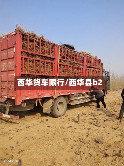 西华货车限行/西华县b2
