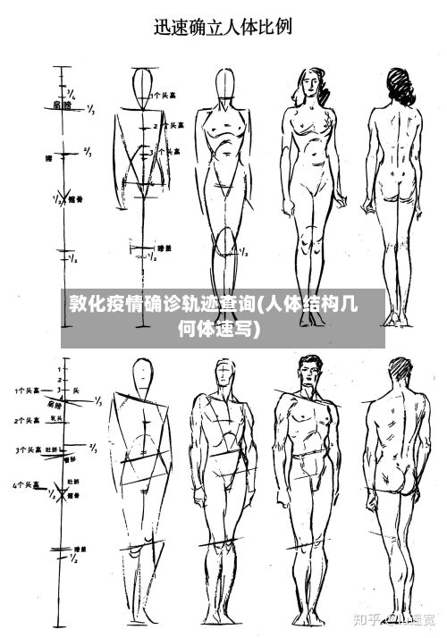 敦化疫情确诊轨迹查询(人体结构几何体速写)