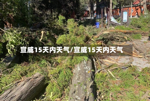 宣威15天内天气/宣威15天内天气