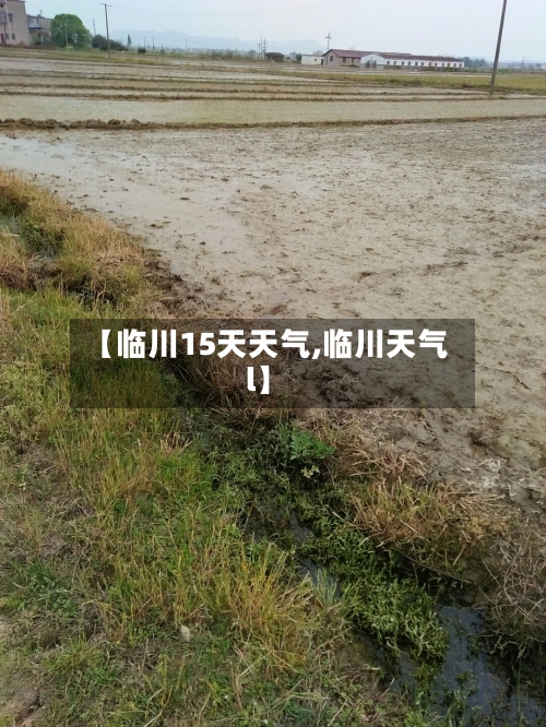 【临川15天天气,临川天气l】