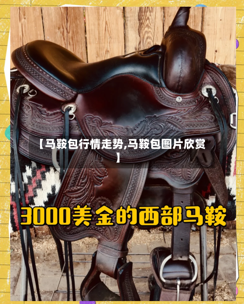 【马鞍包行情走势,马鞍包图片欣赏】