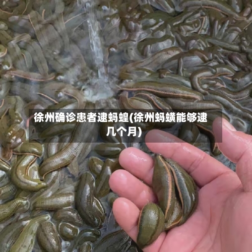 徐州确诊患者逮蚂蝗(徐州蚂蟥能够逮几个月)