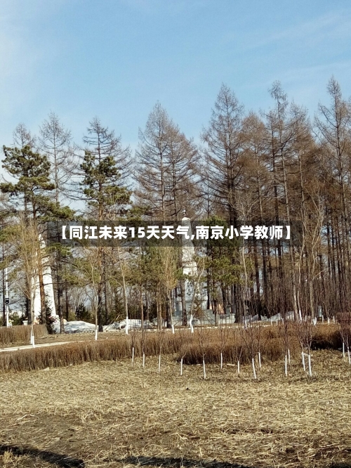 【同江未来15天天气,南京小学教师】