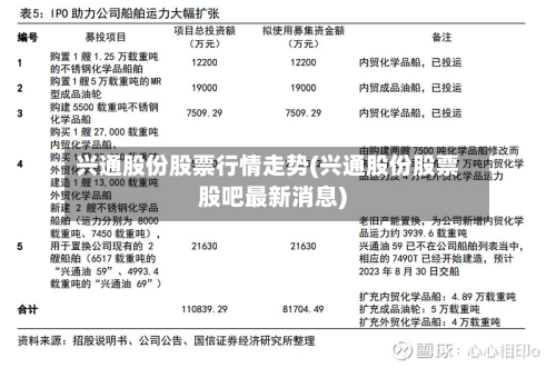 兴通股份股票行情走势(兴通股份股票股吧最新消息)