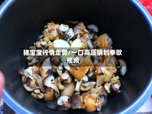 猪宝宝行情走势/一口高压锅划拳歌视频