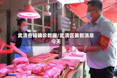 武清各镇确诊数据/武清区最新消息今天