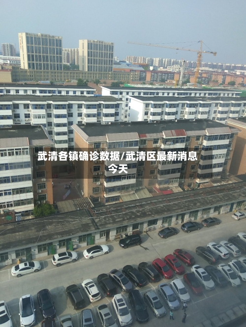 武清各镇确诊数据/武清区最新消息今天