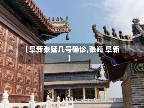 【阜新张猛几号确诊,张巍 阜新】