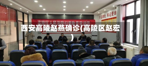 西安高陵赵燕确诊(高陵区赵宏)