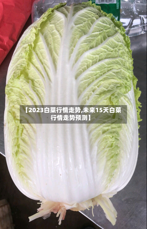 【2023白菜行情走势,未来15天白菜行情走势预测】