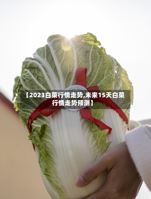 【2023白菜行情走势,未来15天白菜行情走势预测】