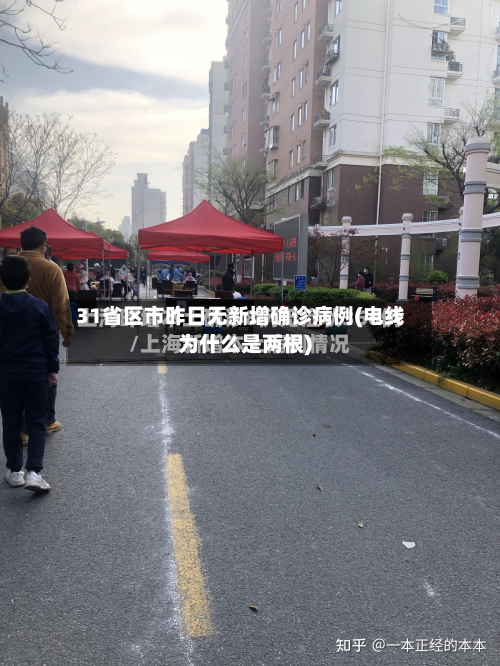 31省区市昨日无新增确诊病例(电线为什么是两根)