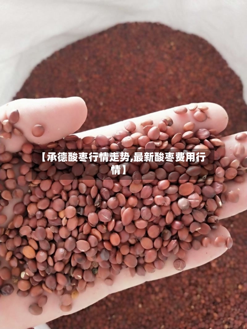 【承德酸枣行情走势,最新酸枣费用行情】