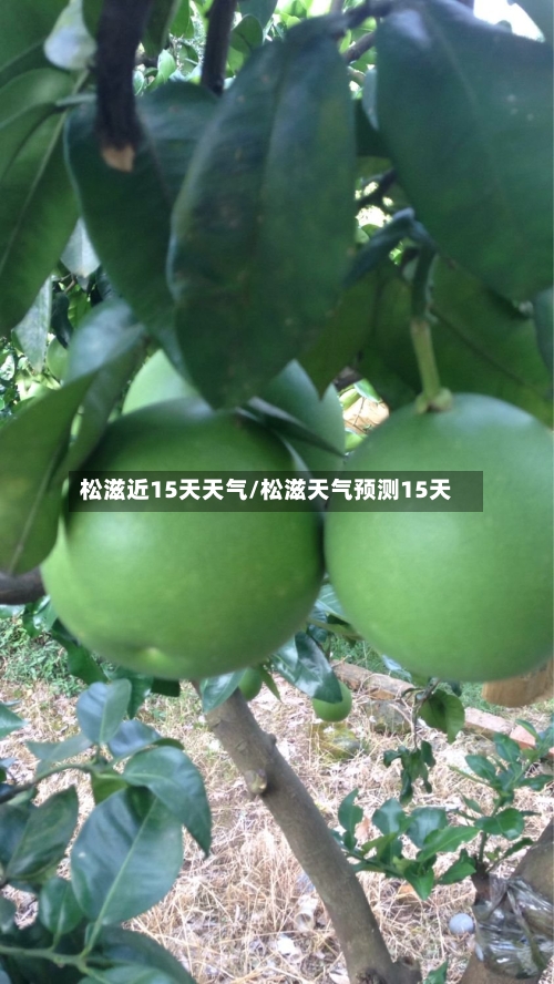 松滋近15天天气/松滋天气预测15天