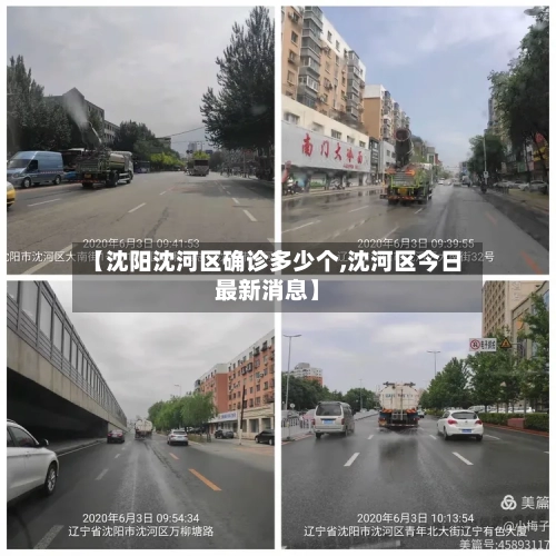【沈阳沈河区确诊多少个,沈河区今日最新消息】